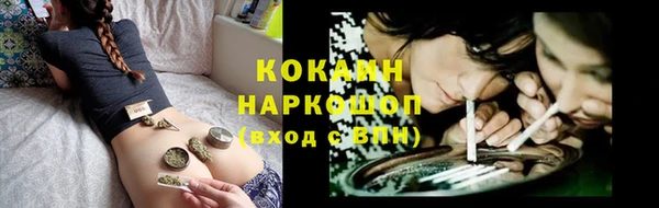 гашик Сатка