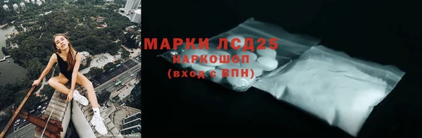 соль ск Белокуриха