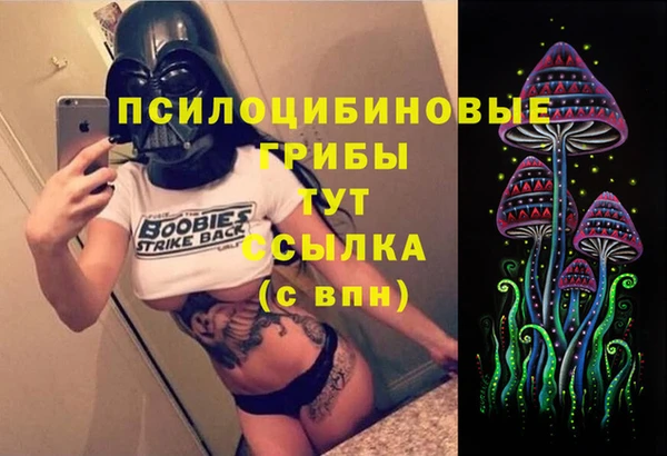 соль ск Белокуриха