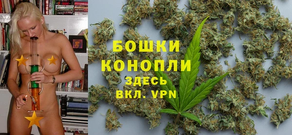 соль ск Белокуриха